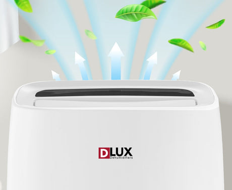 The Best Ways to Maintain Your Dehumidifier for a Longer Lifespan