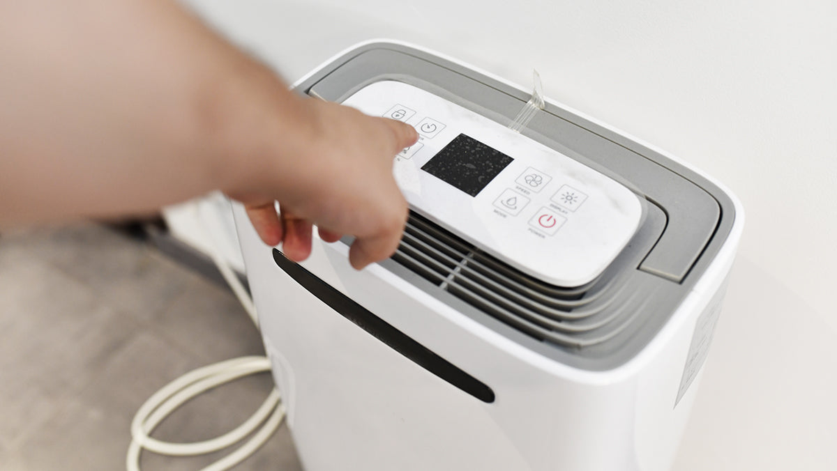Dehumidifier Buyer's Guide