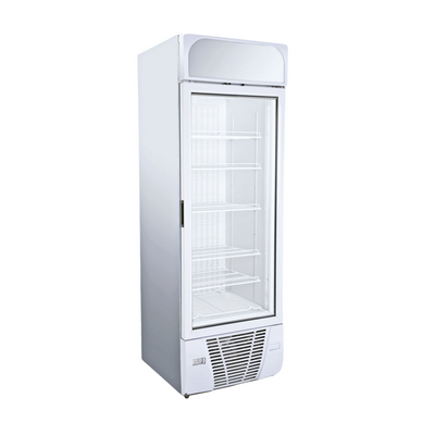 Sterling Large Capacity Display Freezer - Single Door